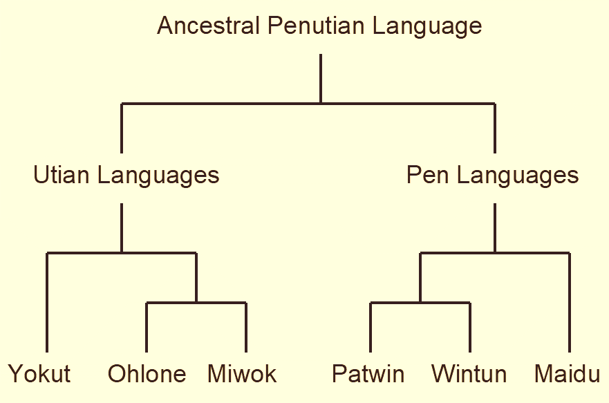 Petun Language Script Village Life, Relgion and Language of the Suisune People